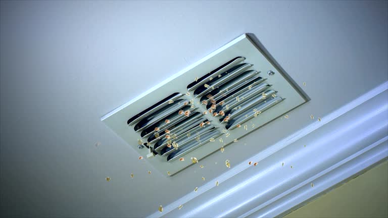 Best Air Duct Cleaning Company Near Me  in Kurtistown, HI