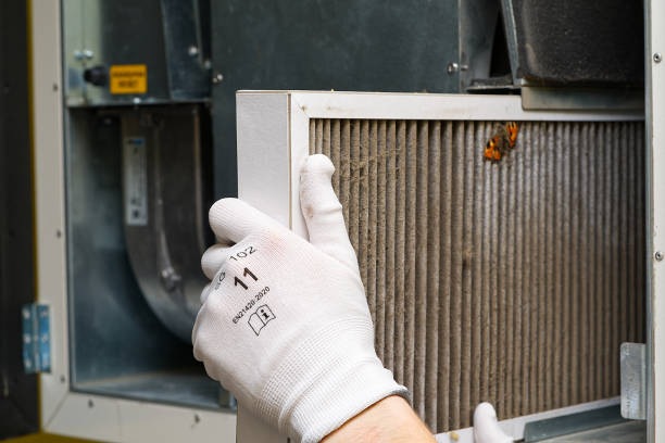 Best HVAC System Cleaning  in Kurtistown, HI