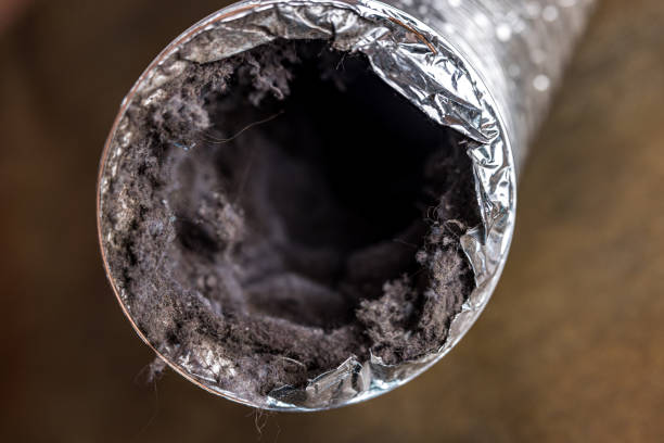 Best Commercial Air Duct Cleaning  in Kurtistown, HI