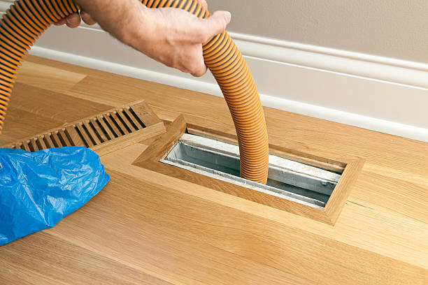 Best Local Air Duct Cleaning Services  in Kurtistown, HI
