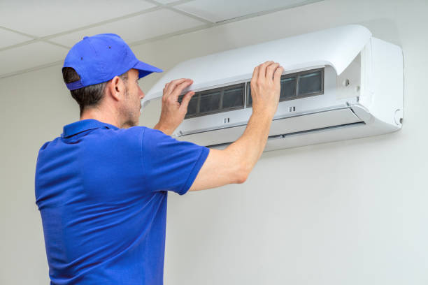 Best HVAC Duct Inspection Services  in Kurtistown, HI