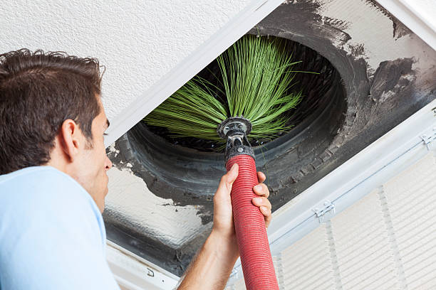 Best Local Air Duct Cleaning Services  in Kurtistown, HI