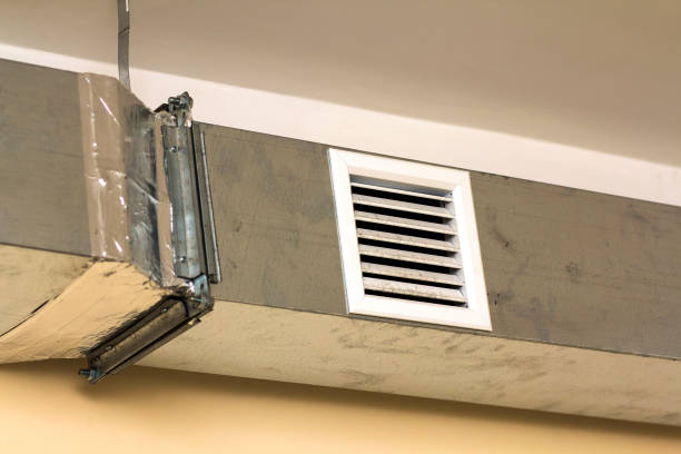 Best Ductwork Cleaning Services  in Kurtistown, HI
